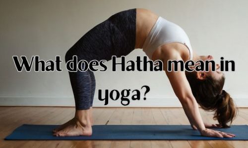 a hatha yoga pose